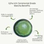 ujiha ceremonial grade matcha health benefits