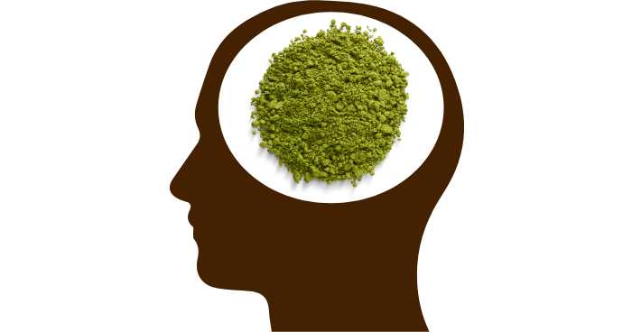 figure of a head with matcha powder in the brain