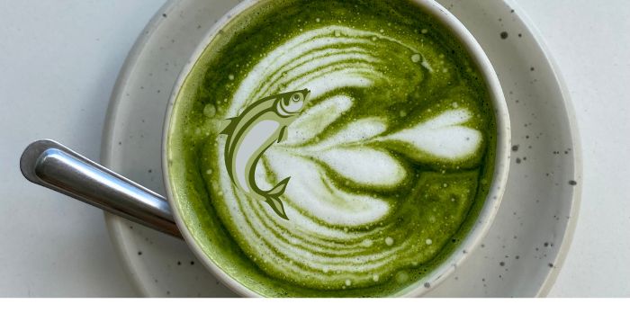 fish in a cup of matcha