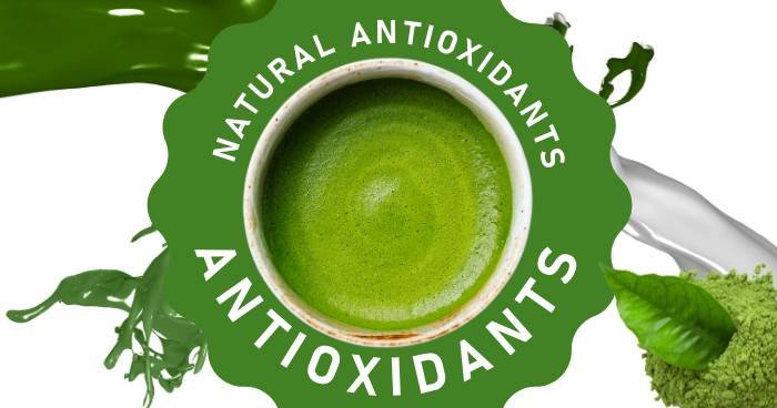 matcha antioxidants